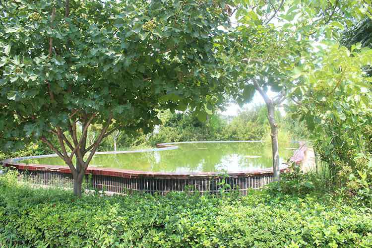 半岛站线体育网-半岛online(中国)机械厂区环境优美